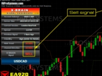 X-Brain Method FOREX SYSTEM 官方售价297美金