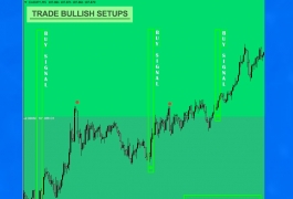 MAX 交易软件高级价格行为交易系统