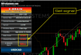 X-Brain Method FOREX SYSTEM 破解版 官方售价297美金