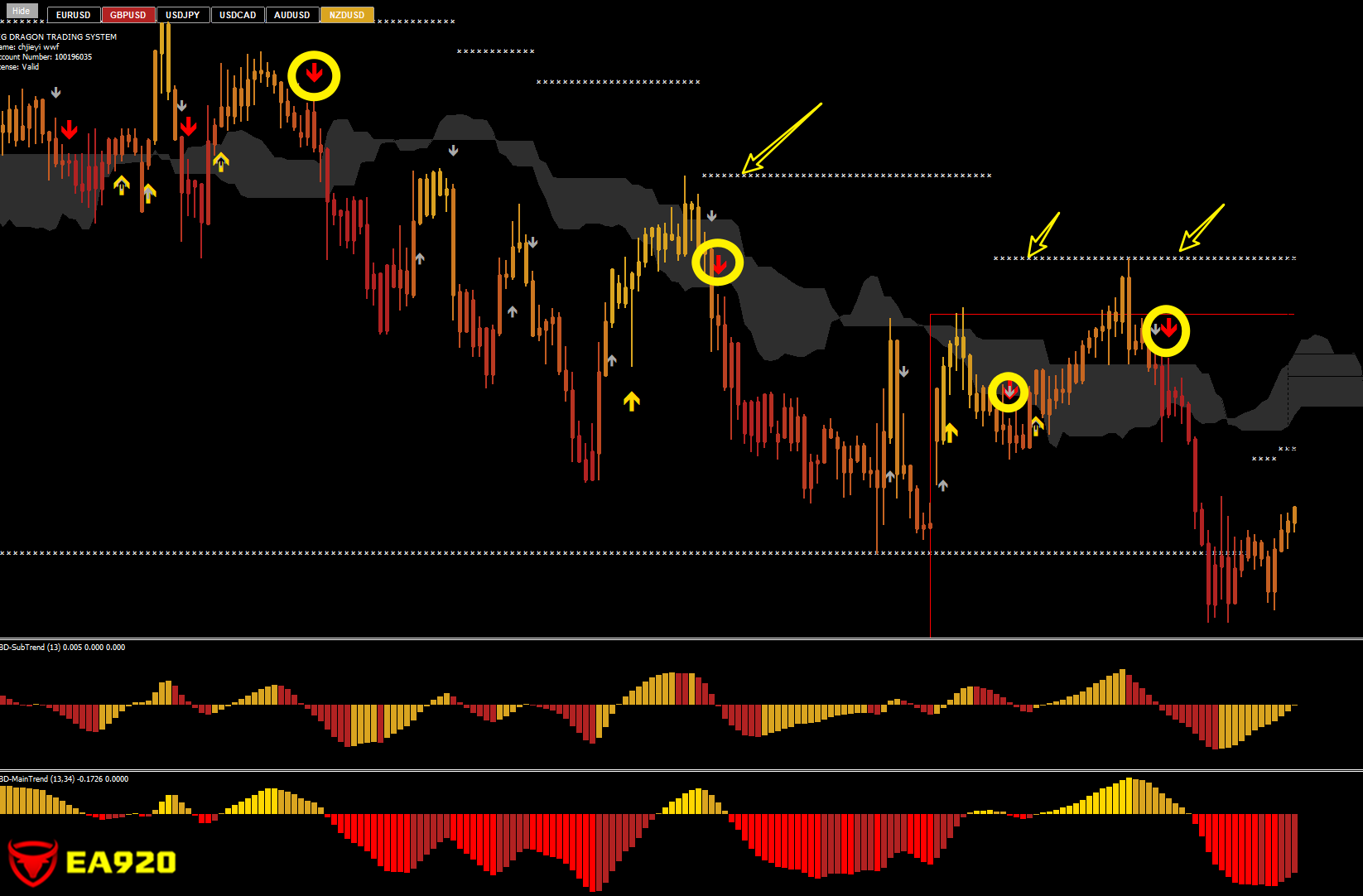 大龙交易系统-BIG DRAGON TRADING SYSTEM