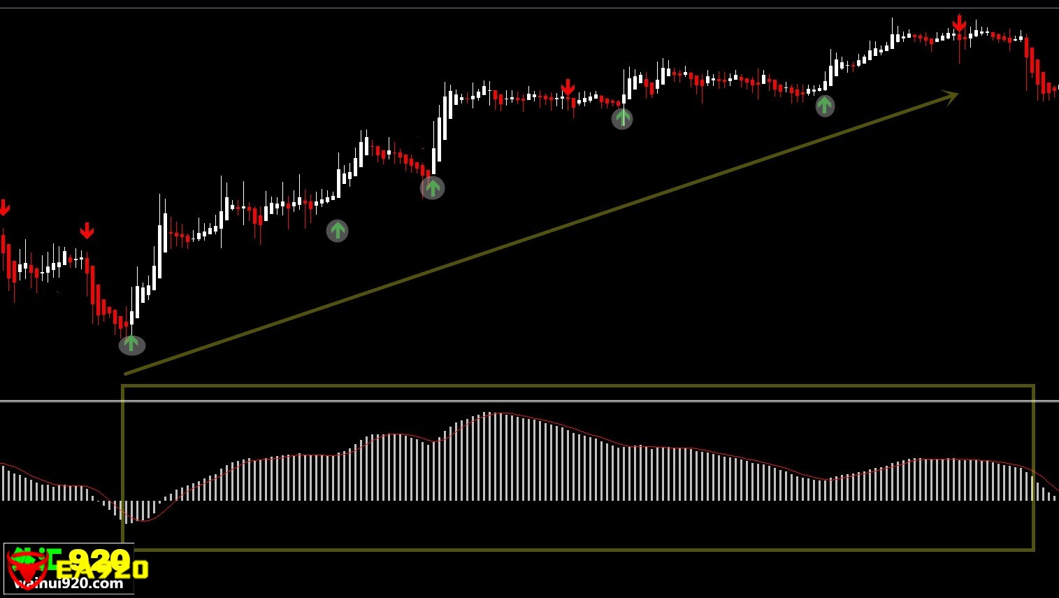 920指标大全顺势箭头交易系统