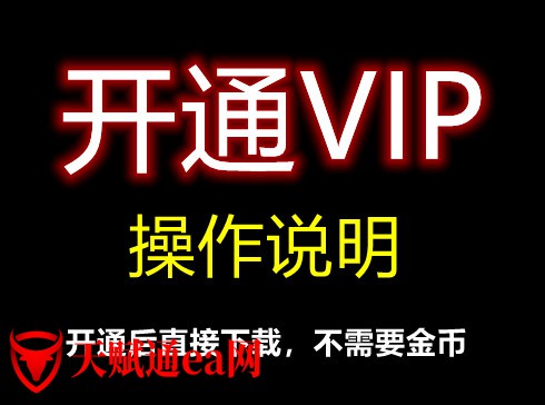 如何开通VIP？相关说明