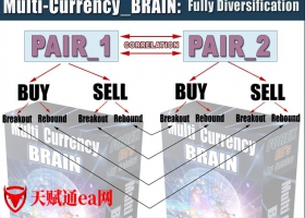 Multi Currency BRAIN 多货币对EA