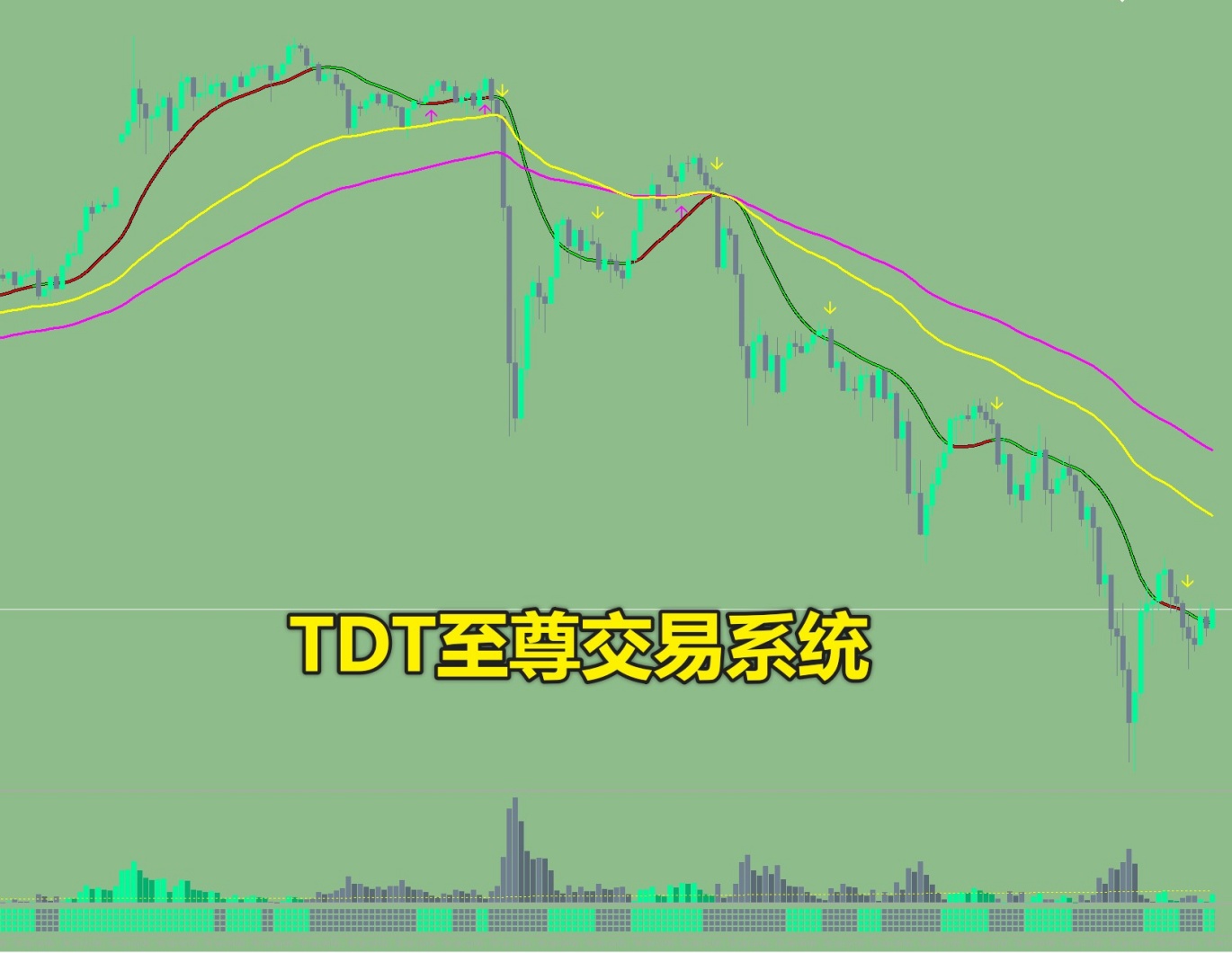 TDT至尊系统免费版
